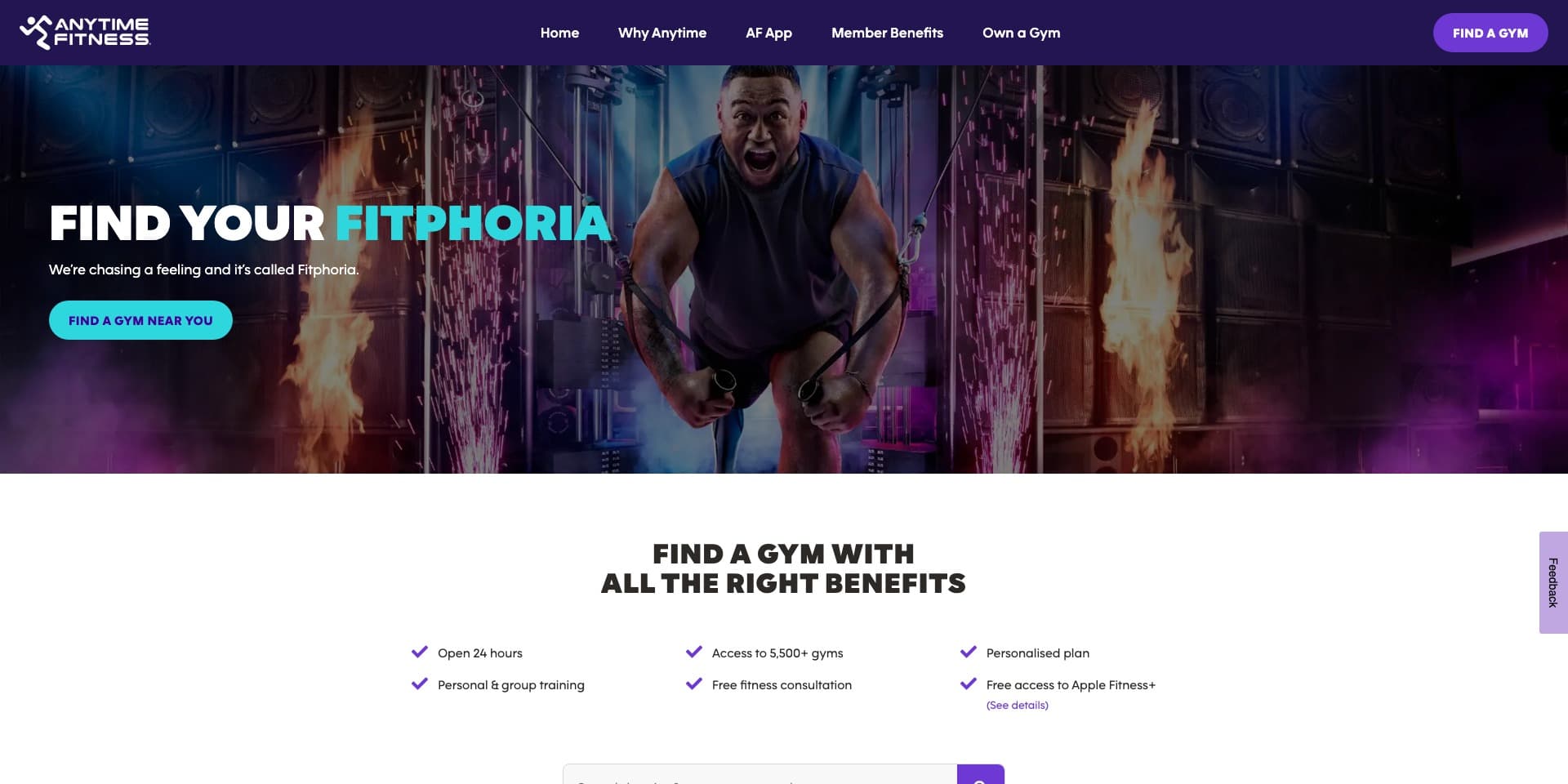Anytime Fitness website and brand